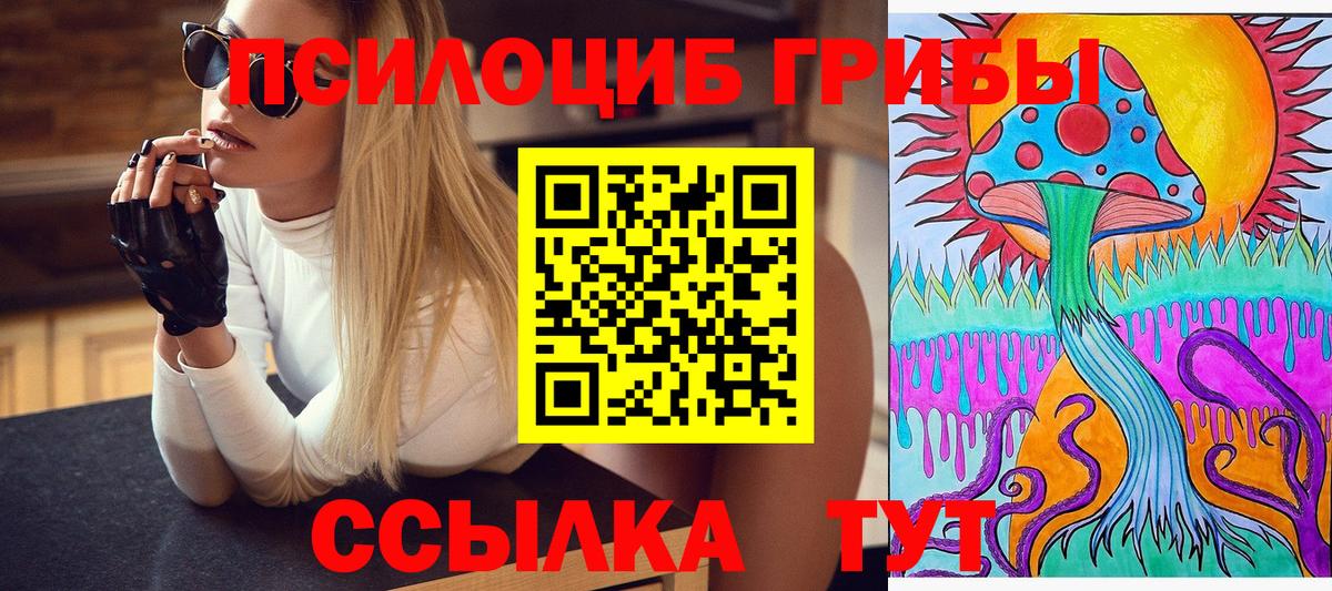 Псилоцибиновые грибы GOLDEN TEACHER  Вход с VPN  Камышин 