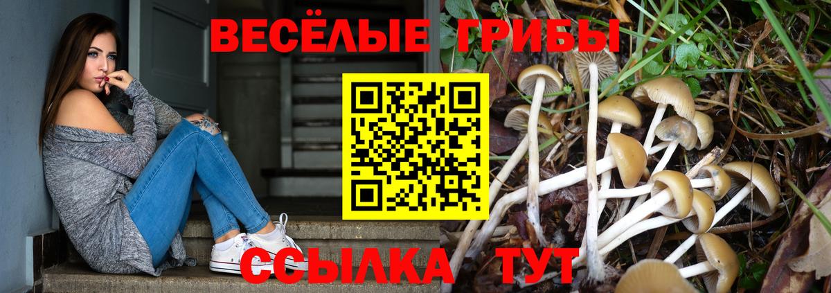 Псилоцибиновые грибы Magic Shrooms Камышин